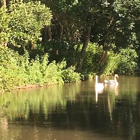 Individuell Wohnen Loft-charakter Im Innenhof Apartamento