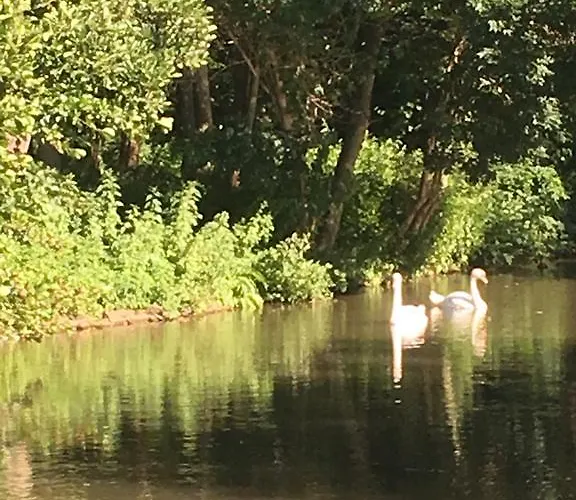 Individuell Wohnen Loft-charakter Im Innenhof Διαμέρισμα