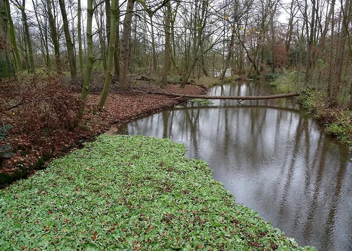 Individuell Wohnen Loft-charakter Im Innenhof Διαμέρισμα